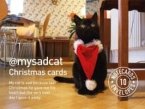 @mysadcat Christmas Cards: 10 Cards and Envelopes