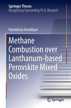 Methane Combustion over Lanthanum-based Perovskite Mixed Oxides - Arandiyan, Hamidreza