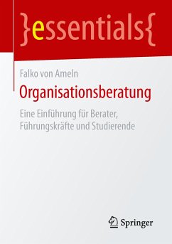 Organisationsberatung - Ameln, Falko von