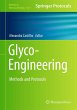Glyco-Engineering - Bild 1
