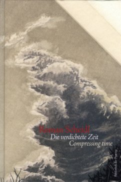 Cover Scheidl, Roman