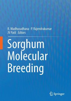 Cover Sorghum Molecular Breeding