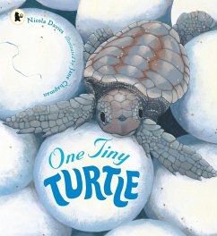One Tiny Turtle - Davies, Nicola