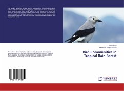 Bird Communities in Tropical Rain Forest