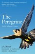 The Peregrine - Bild 1