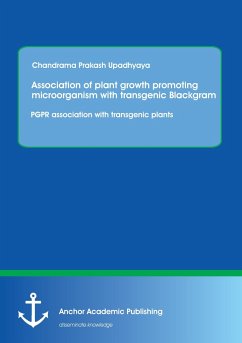 Association of plant growth promoting microorganism with transgenic Blackgram. PGPR association with transgenic plants - Upadhyaya, Chandrama Prakash