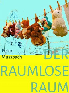 Der raumlose Raum (eBook, ePUB) - Mussbach, Peter