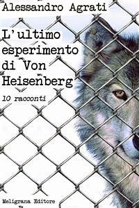 L’ultimo esperimento di Von Heisenberg (eBook, ePUB) - Agrati, Alessandro
