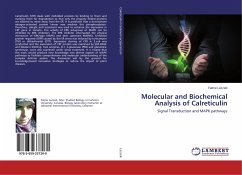 Molecular and Biochemical Analysis of Calreticulin - Lezzeik, Fatme