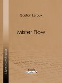 Mister Flow (eBook, ePUB)