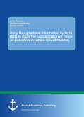 Using Geographical Information Systems (GIS) to study the concentration of major air pollutants in Lahore City of Pakistan (eBook, PDF)