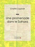 Une promenade dans le Sahara (eBook, ePUB)