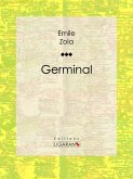 Germinal (eBook, ePUB)