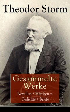 Gesammelte Werke: Novellen + Märchen + Gedichte + Briefe (eBook, ePUB) - Storm, Theodor