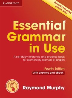 essential grammar in use fourth edition pdf
