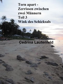 Torn apart - Zerrissen zwischen zwei Männern (eBook, ePUB) - Lautenfeld, Cedrina