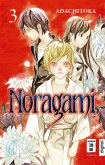 Noragami 03 (eBook, ePUB) Noragami 03 (eBook, ePUB)
