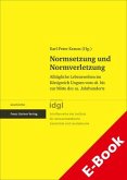 Normsetzung und Normverletzung (eBook, PDF)