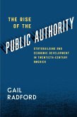 The Rise of the Public Authority (eBook, ePUB)