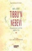 Tibbun Nebevi