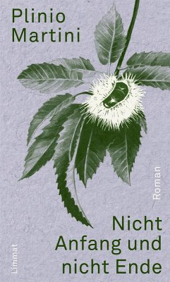 Nicht Anfang und nicht Ende (eBook, ePUB) - Martini, Plinio