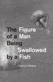 Figure of a Man Being Swallowed by a Fish (eBook, ePUB)