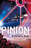 Pinion (eBook, ePUB)