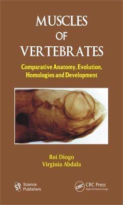 Muscles of Vertebrates (eBook, PDF) - Diogo, Rui; Abdala, Virginia