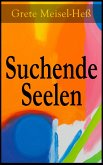 Suchende Seelen (eBook, ePUB)