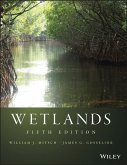 Wetlands (eBook, ePUB)
