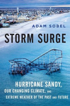 Storm Surge (eBook, ePUB) - Sobel, Adam