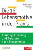 Die 16 Lebensmotive in der Praxis (eBook, ePUB)