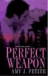 Perfect Weapon (eBook, ePUB) - Bild 1