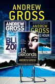 Andrew Gross 3-Book Thriller Collection 2 (eBook, ePUB)