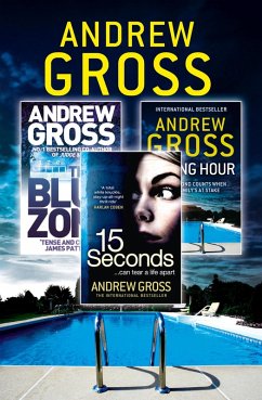 Andrew Gross 3-Book Thriller Collection 2 (eBook, ePUB) - Gross, Andrew