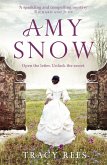 Amy Snow (eBook, ePUB)