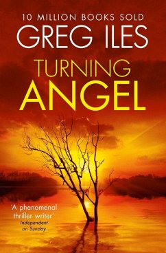 Cover Turning Angel (eBook, ePUB)
