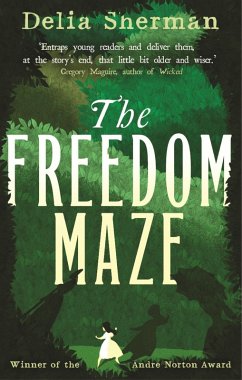 Cover The Freedom Maze (eBook, ePUB)