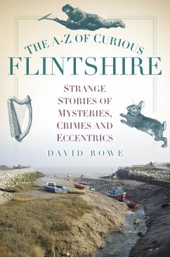 The A-Z of Curious Flintshire (eBook, ePUB) - Rowe, David
