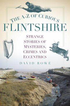 The A-Z of Curious Flintshire (eBook, ePUB) Cover The A-Z of Curious Flintshire (eBook, ePUB)