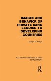 Images and Behaviour of Private Bank Lending to Developing Countries (eBook, ePUB)