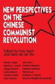 New Perspectives on the Chinese Revolution (eBook, PDF)