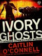 Ivory Ghosts (eBook, ePUB) - Bild 1