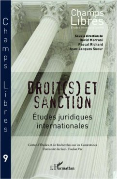 Cover Droit(s) et sanction (eBook, PDF)