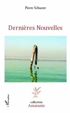 Cover Dernieres nouvelles (eBook, PDF)