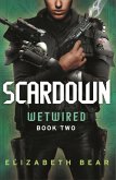 Scardown (eBook, ePUB)
