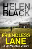 Friendless Lane (eBook, ePUB)