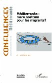 Mediterranee : mare nostrum pour les migrants ? (eBook, ePUB)