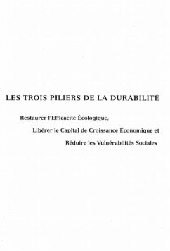 LES 3 PILIERS DE LA DURABILITE (eBook, PDF)
