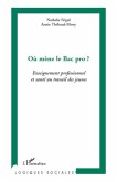 Ou mene le Bac pro ? (eBook, ePUB)